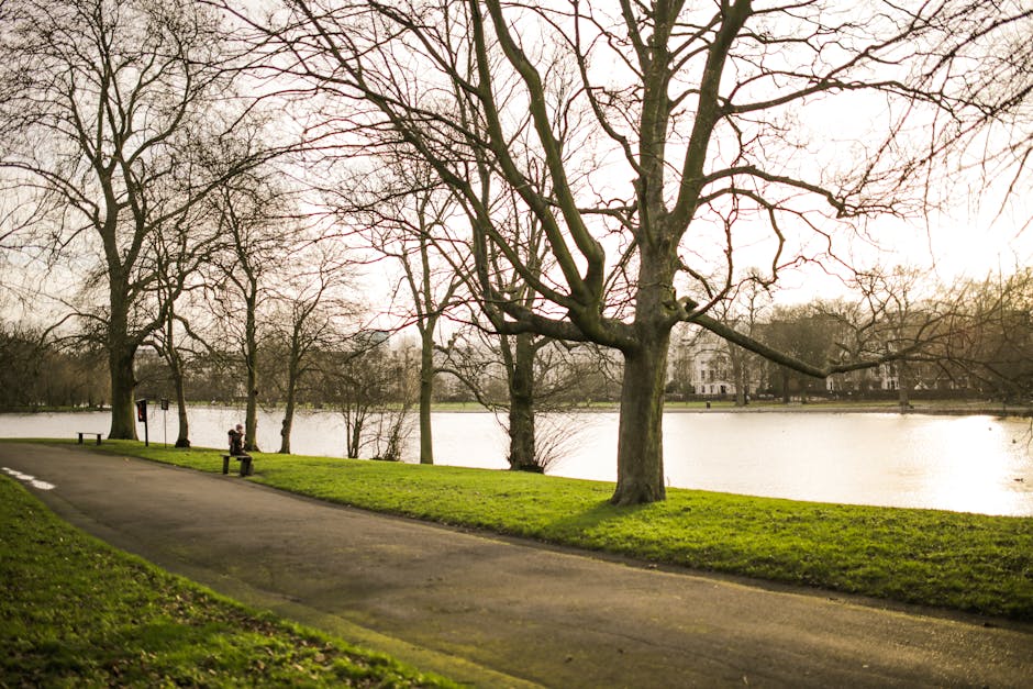 A paved pathway runs alongside a green grassy area with large, leafless trees adjacent to a calm river, reflecting the overcast sky. In the background, a person is sitting on a bench near the water, and there are trees and buildings visible across the river. The scene is outdoors in a park environment typical of Ravenscourt Park in Hammersmith. Although no furniture or moving equipment is visible in this image, it sets a peaceful, natural scene for home relocation or furniture transport activities, which could be supported by professional removals services such as Man and Van Hammersmith during packing and moving operations.